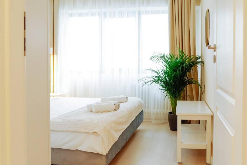 Elegant Vibes Apartment Next To Obor Market Bukarest Eksteriør billede